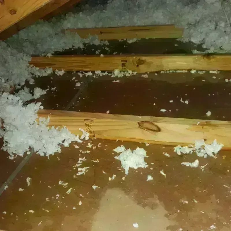 Attic Water Damage in West Liberty, WV