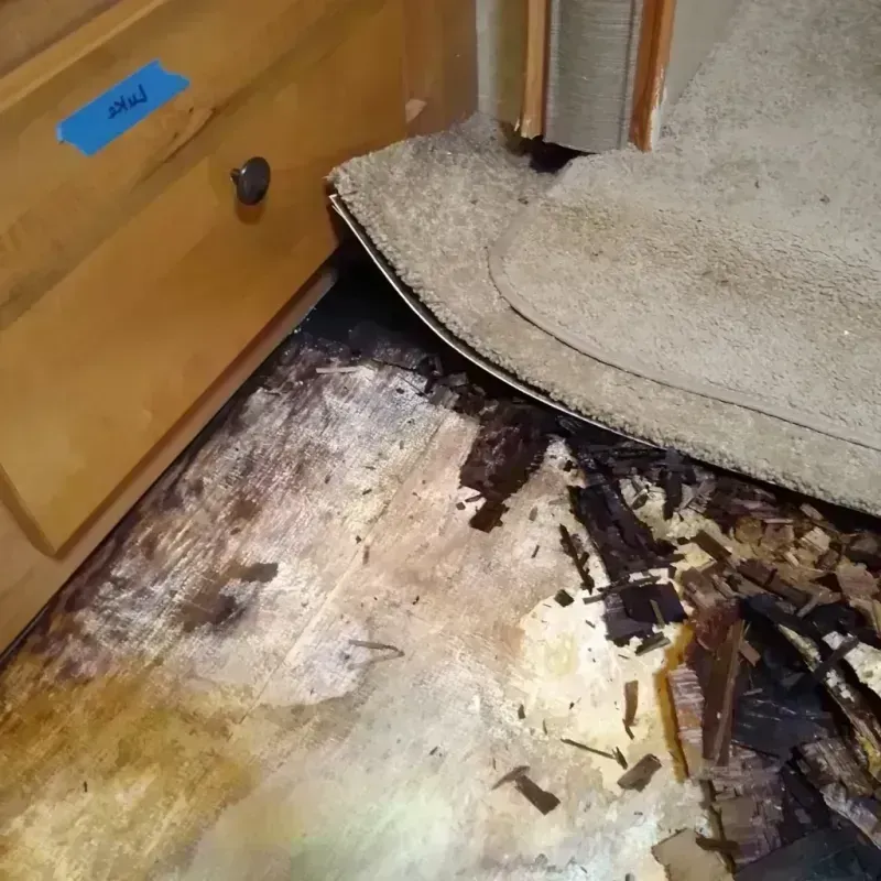 Wood Floor Water Damage in West Liberty, WV